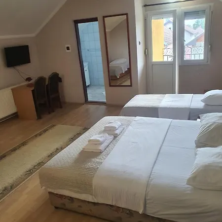 Bor Guest house *