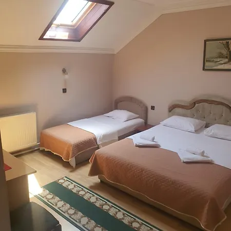 Guest house Bor