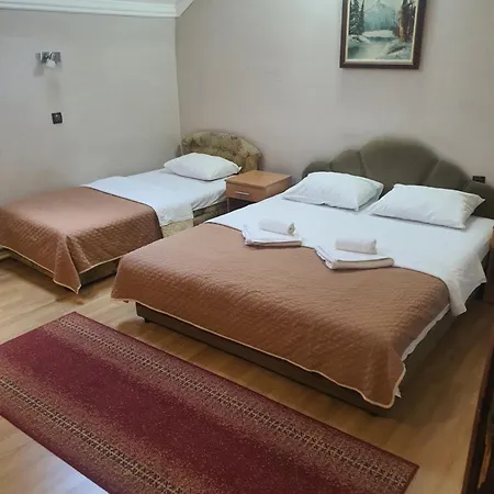 Guest house Bor